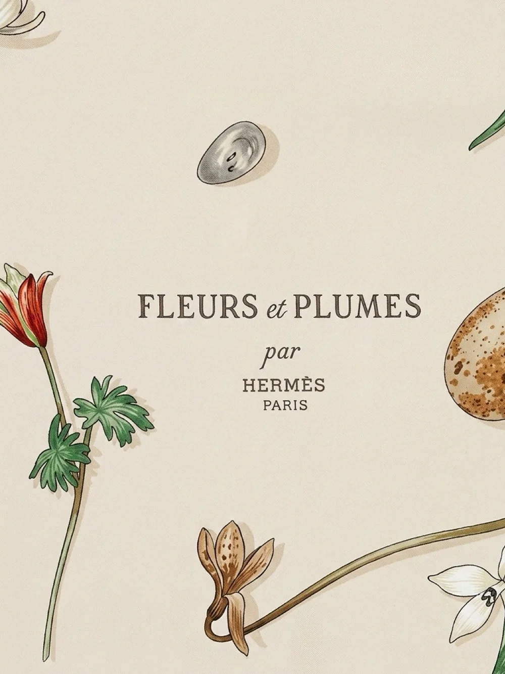 HERMES Vintage Fleurs et Plumes Silk Scarf Carre 90 by Leigh P Cooke